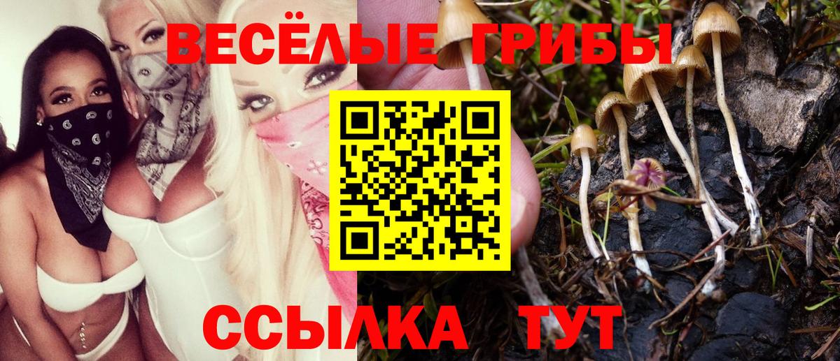 Галлюциногенные грибы Psilocybe Магнитогорск