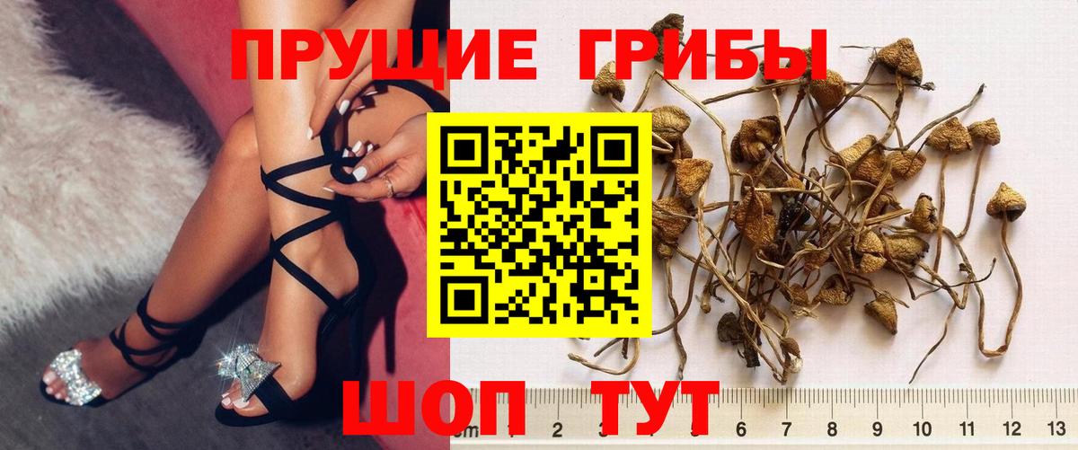 Псилоцибиновые грибы Magic Shrooms  Вход с VPN  Магнитогорск 